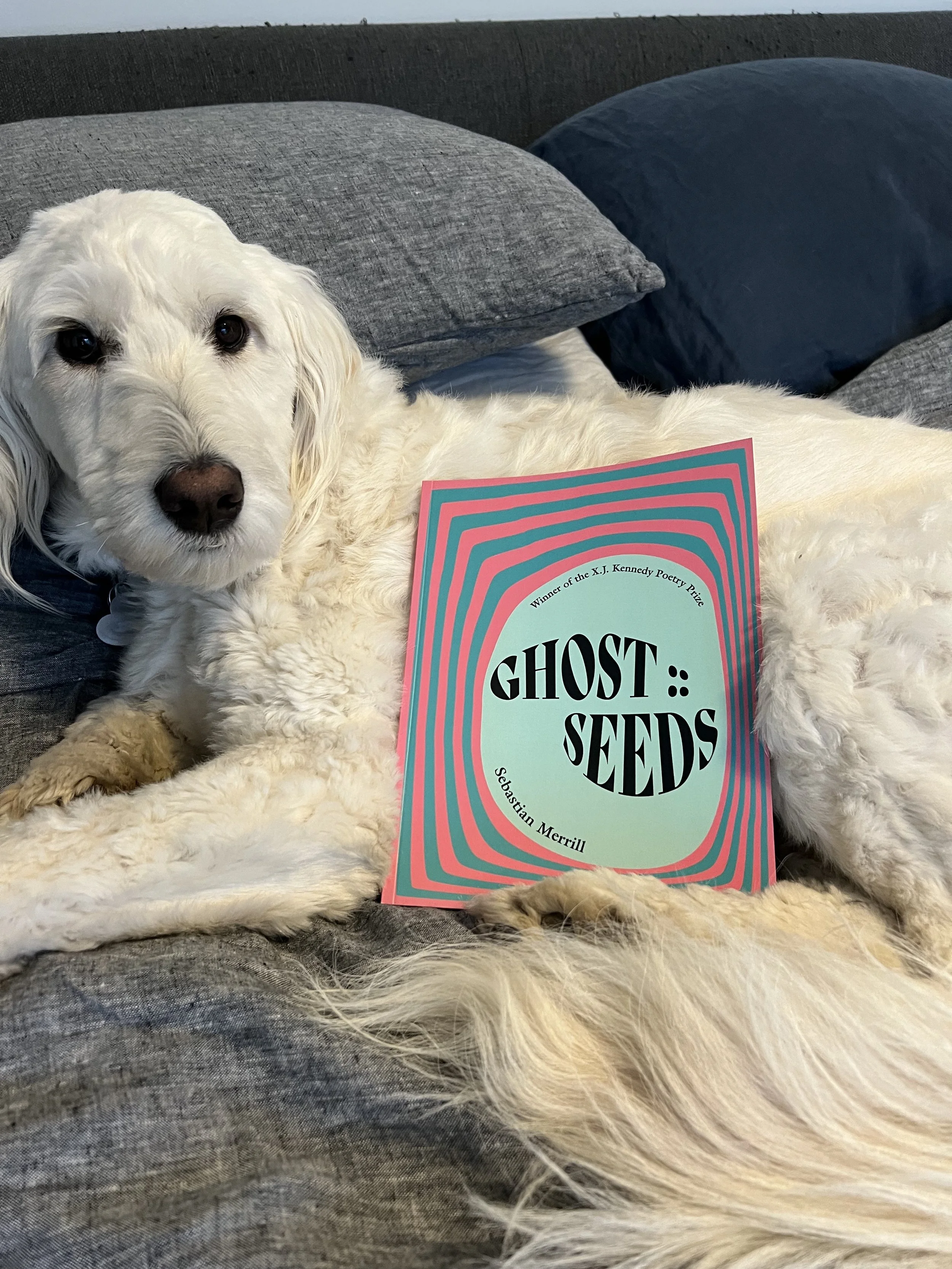 Signed copy of GHOST :: SEEDS — Sebastian Merrill